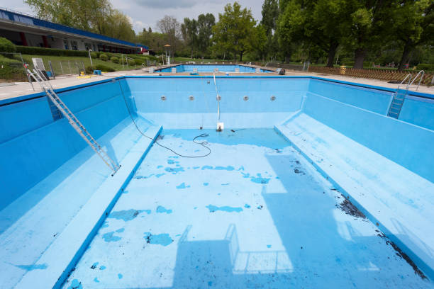 Best Flood damage cleanup  in Gages Lake, IL