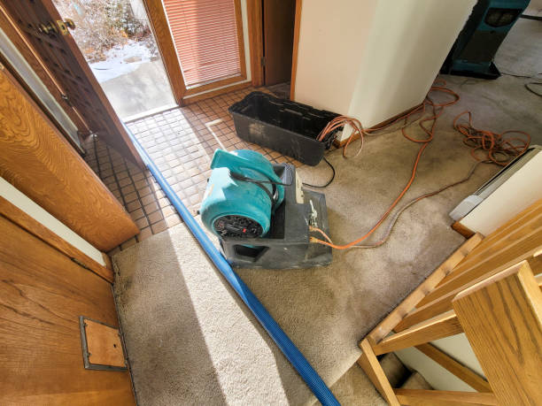 Professional Water damage restoration in IL