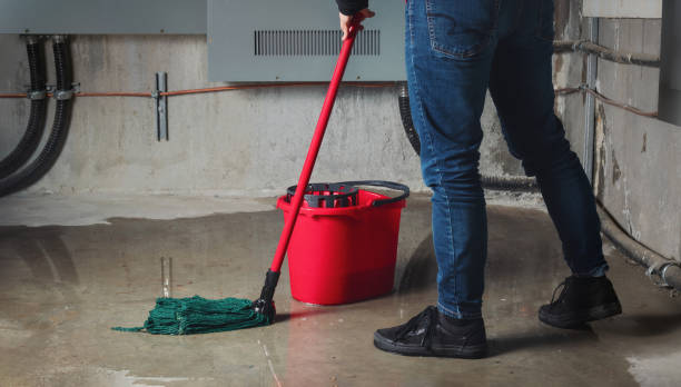 Best Carpet water damage restoration  in Gages Lake, IL