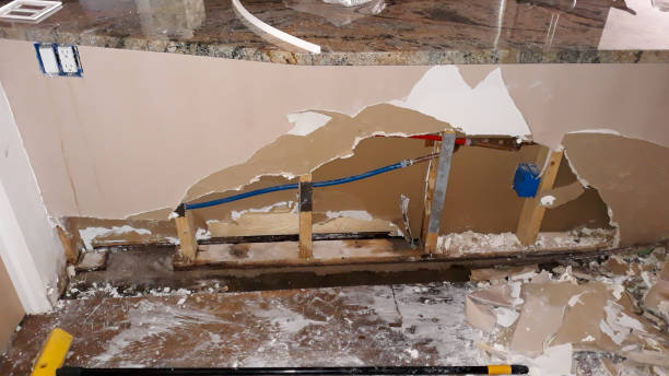 Best Commercial water damage restoration  in Gages Lake, IL