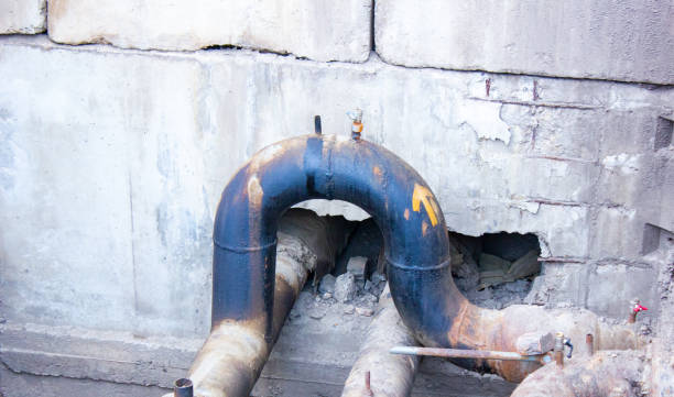Best Flood restoration services  in Gages Lake, IL