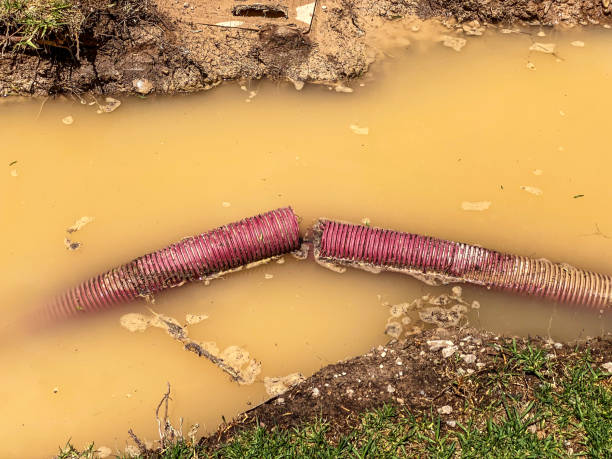 Best Fire Damage Restoration  in Gages Lake, IL